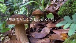 想知道炖鸡怎么弄有营养又好吃？