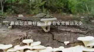 干蘑菇怎么做好吃 干蘑菇家常做法大全