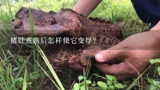 猪肚煮熟后怎样使它变厚？