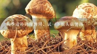 秋季清补调理脾胃，试1下猴头菇煲汤