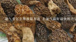 湿气重怎么排湿最有效 去湿气最好最快的方法有哪些