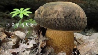 湘菜菜谱大全