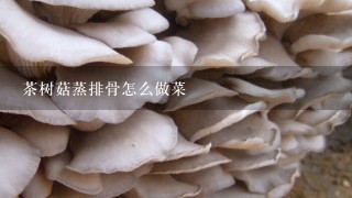 茶树菇蒸排骨怎么做菜
