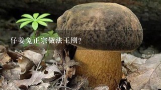 仔姜兔正宗做法王刚？