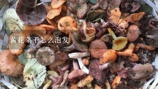 黄花菜干怎么泡发