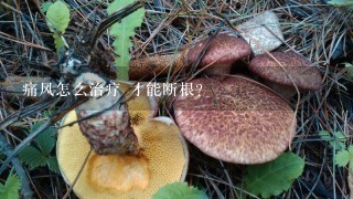 痛风怎么治疗 才能断根？