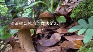 干锅茶树菇炖鸡的做法是怎样？