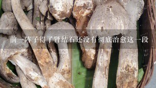 前1阵子得了肾结石还没有彻底治愈这1段