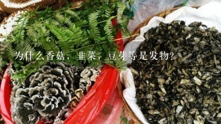 为什么香菇，韭菜，豆芽等是发物?