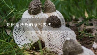 茶树菇炒鸡的家常做法