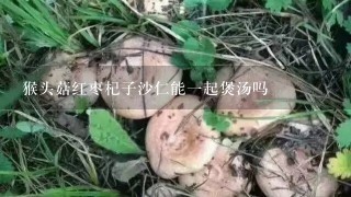 猴头菇红枣杞子沙仁能1起煲汤吗