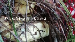 猴头菇和什么食物搭配最好