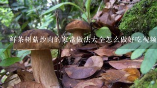 鲜茶树菇炒肉的家常做法大全怎么做好吃视频
