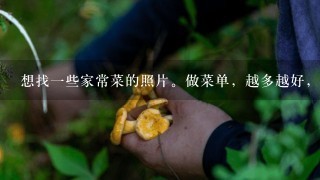 想找1些家常菜的照片。做菜单，越多越好，是小饭店。菜名和图片。图片要清楚点的。家常菜为主!