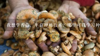 我想学香菇、平菇种植技术？哪里可以学习种植技术