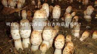 明白。为什么香菇没有杏鲍菇好吃吗？