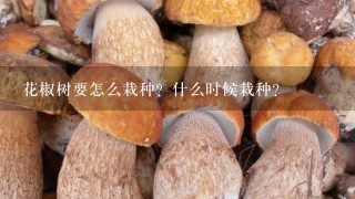 花椒树要怎么栽种？什么时候栽种？