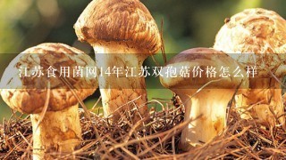 江苏食用菌网14年江苏双孢菇价格怎么样