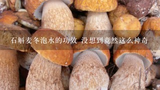 石斛麦冬泡水的功效 没想到竟然这么神奇