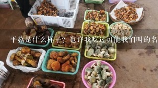 平菇是什么样子？也许我吃过可能我们叫的名字不1样