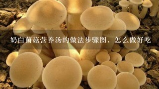 奶白菌菇营养汤的做法步骤图，怎么做好吃