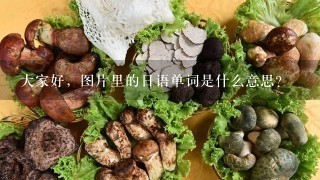 大家好，图片里的日语单词是什么意思？