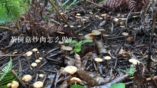 茶树菇炒肉怎么做？