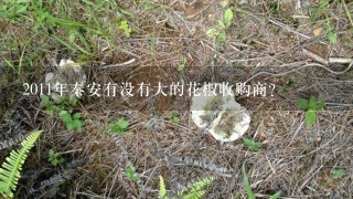 2011年秦安有没有大的花椒收购商？