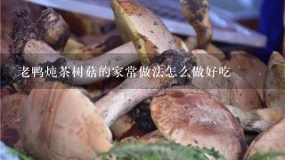 老鸭炖茶树菇的家常做法怎么做好吃
