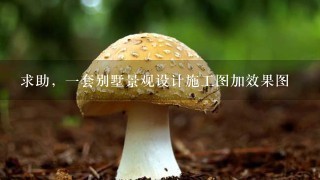 求助，1套别墅景观设计施工图加效果图