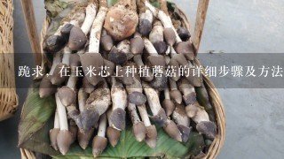 跪求，在玉米芯上种植蘑菇的详细步骤及方法！（还有问1下河南省周口市太康县县城哪个地方有卖蘑菇菌种的！）