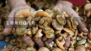 怎样做红烧排骨