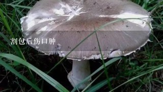 割包后伤口肿