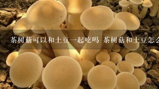 茶树菇可以和土豆1起吃吗 茶树菇和土豆怎么做好吃