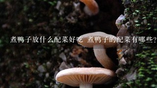 煮鸭子放什么配菜好吃 煮鸭子的配菜有哪些？