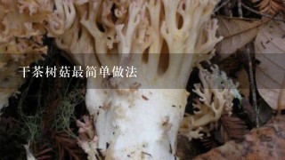干茶树菇最简单做法