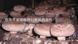 经常在家里喷些白醋能消毒吗???