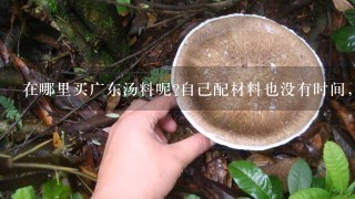 在哪里买广东汤料呢?自己配材料也没有时间，我要煲汤呢。