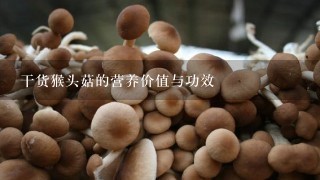 干货猴头菇的营养价值与功效