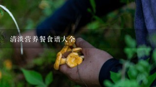 清淡营养餐食谱大全