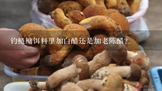 钓鲢鳙饵料里加白醋还是加老陈醋？