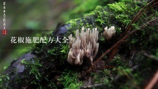 花椒施肥配方大全？