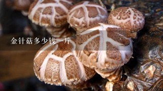 金针菇多少钱1斤