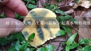 桔子皮，大枣，生姜，花椒1起煮水喝的功效与作用是什么？对虚寒性体质有什么影响吗？