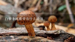 白萝卜炖排骨有什么功效