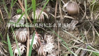 茶树菇香菇山鸡枸杞怎么煲汤好吃