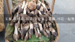 玉米,茶树菇,花菜,金针菇、莲藕,可以1起煲排骨汤吗？