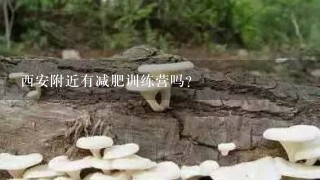 西安附近有减肥训练营吗？