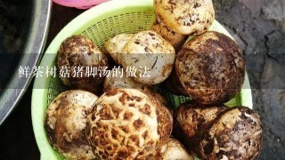 鲜茶树菇猪脚汤的做法