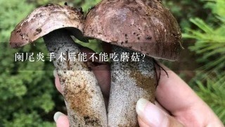 阑尾炎手术后能不能吃蘑菇?